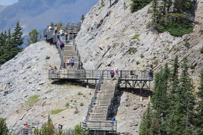 Sulphur Mountain Trail