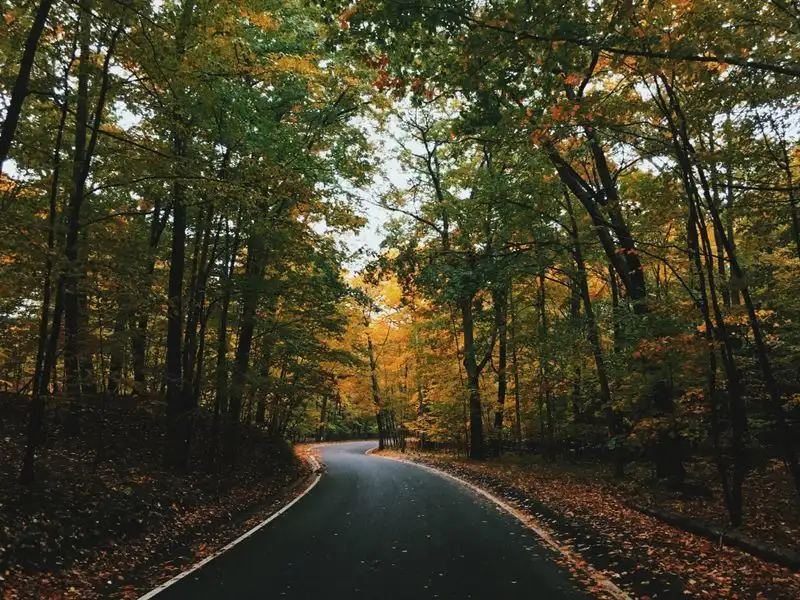 Tunnel of Trees, Michigan
