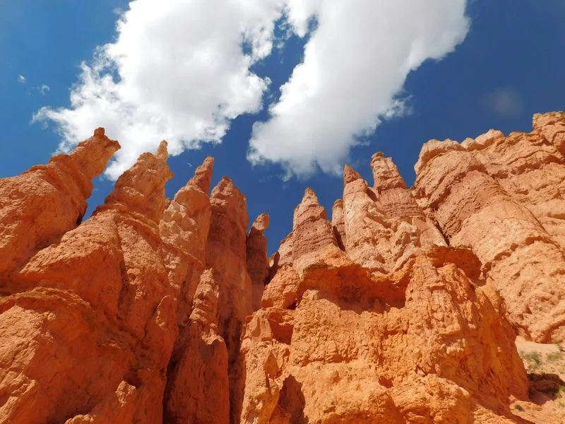 Bryce Canyon Hoodoos (Utah)