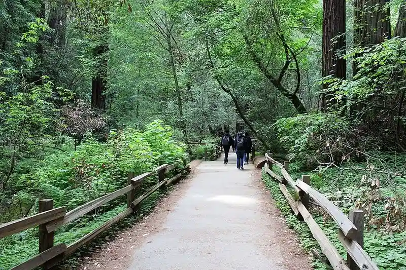 Muir Woods National Monument