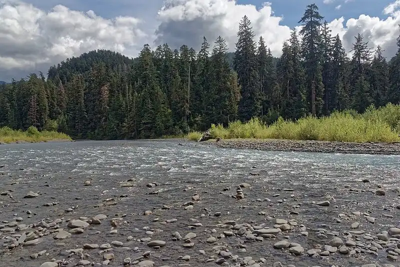 Hoh River Trail