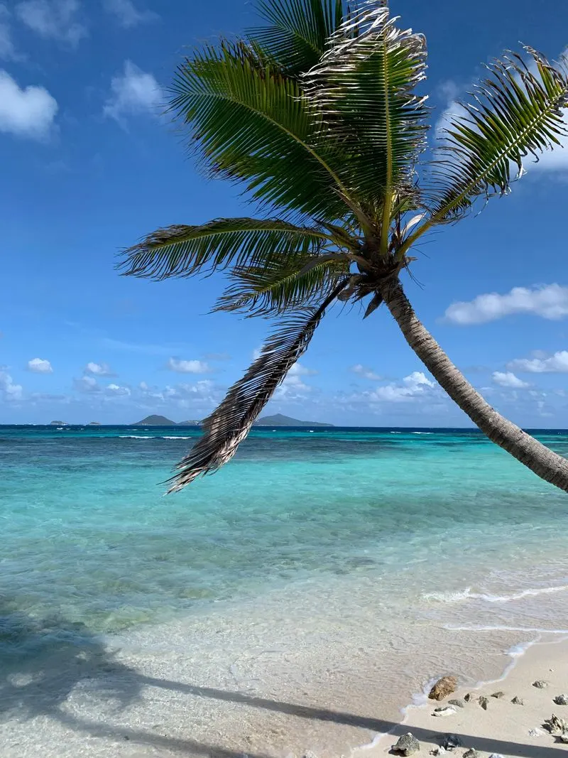 Caribbean Island Hopping