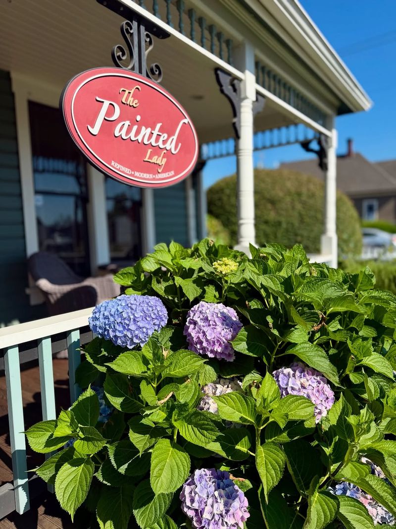 The Painted Lady — Newberg (Willamette Valley)