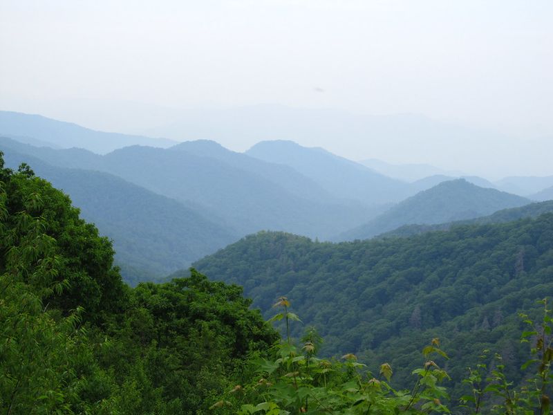 Newfound Gap Road