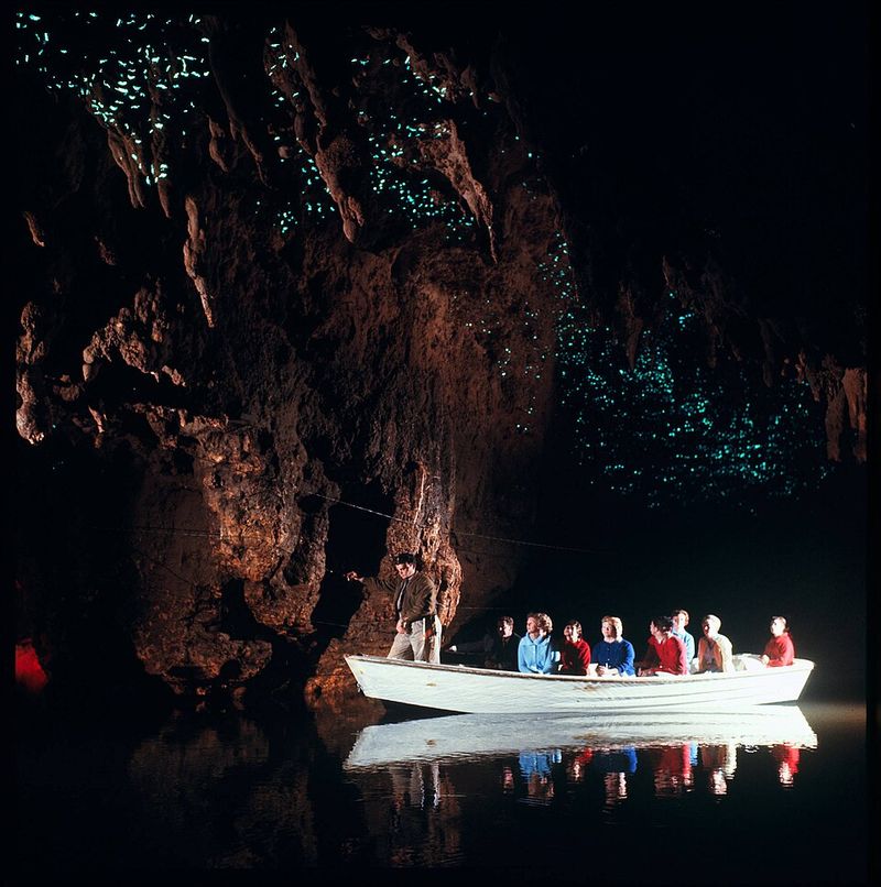 Explore the Glowworm Caves