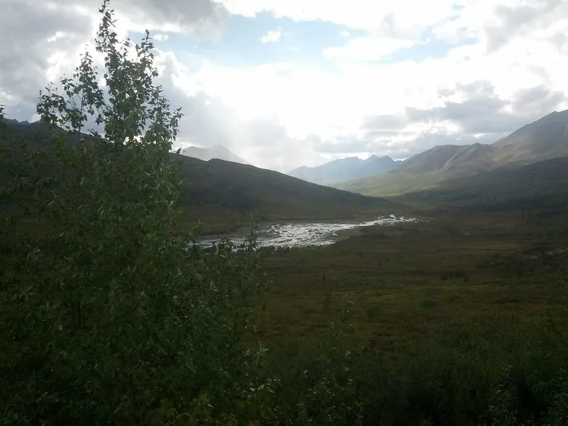 The Midnight Sun and Northern Lights