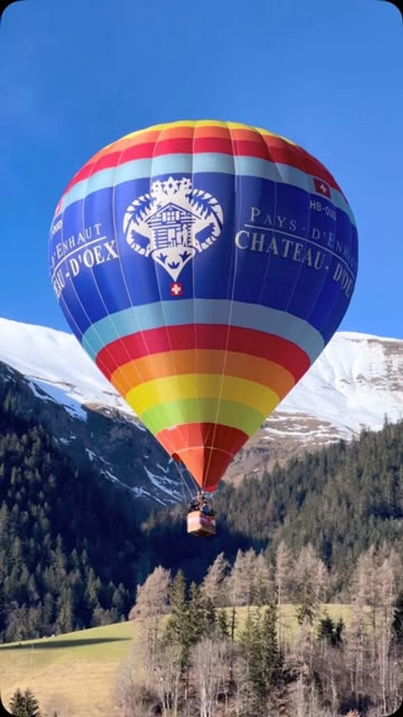 Aerial View from a Hot Air Balloon