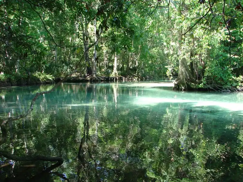 Wildlife and Biodiversity