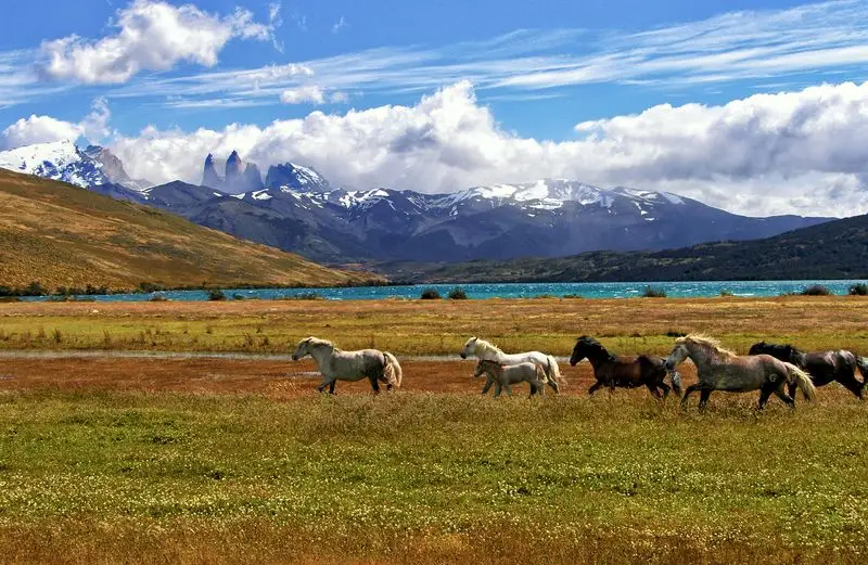 Patagonia, Chile & Argentina