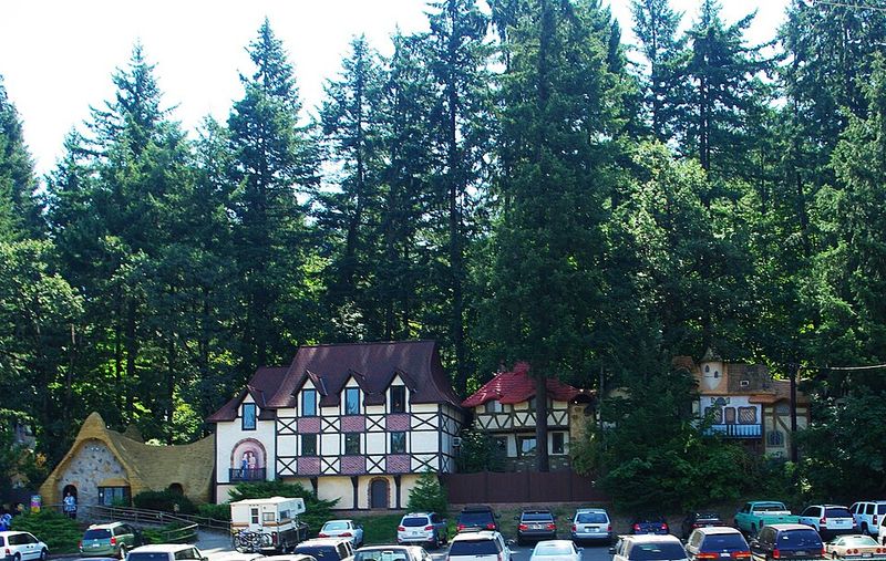 Enchanted Forest