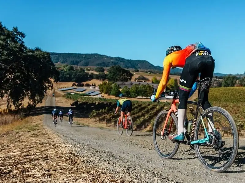Cycling Through Vineyards
