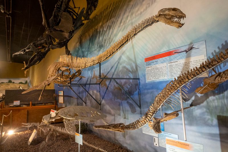 Wyoming Dinosaur Center