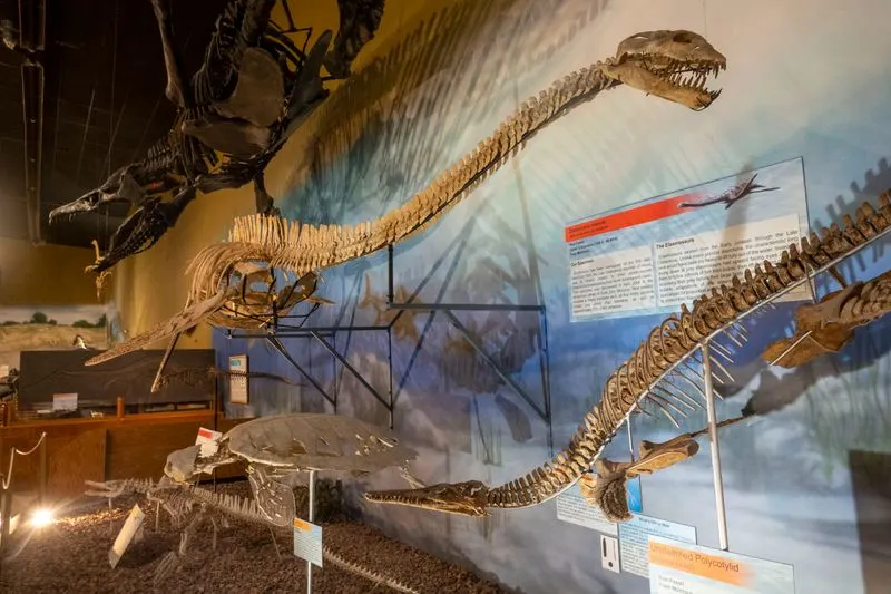 Wyoming Dinosaur Center