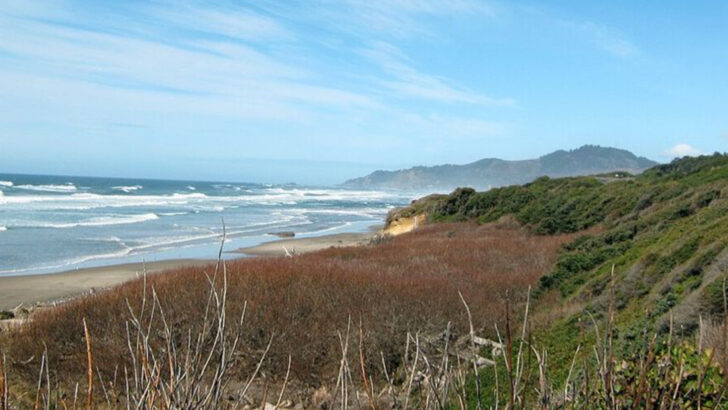 How to Pick the Best Time for an Oregon Vacation
