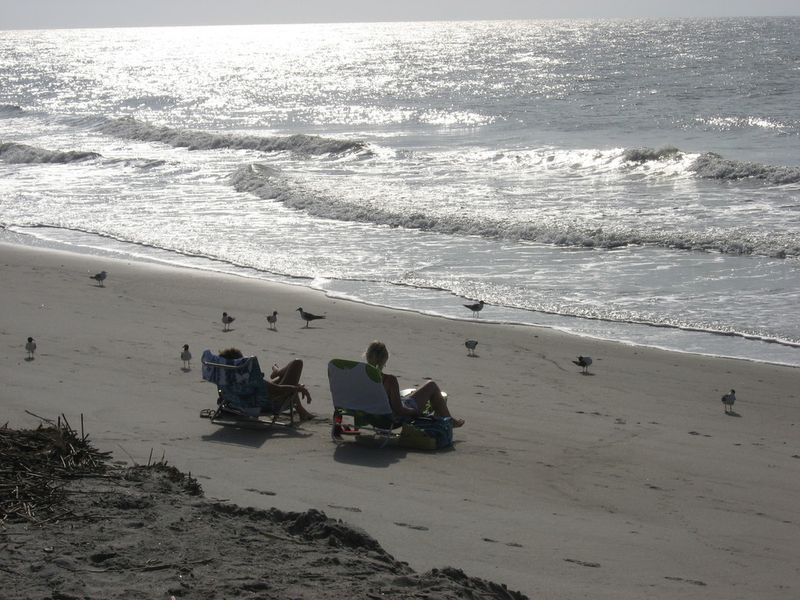 Edisto Island