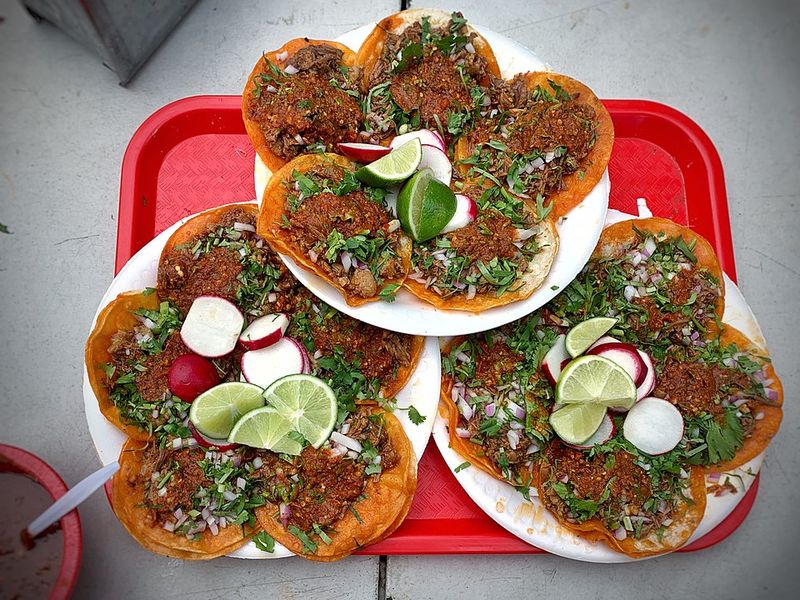 I Assumed It Was Culturally Bland – Until I Hit Tucson