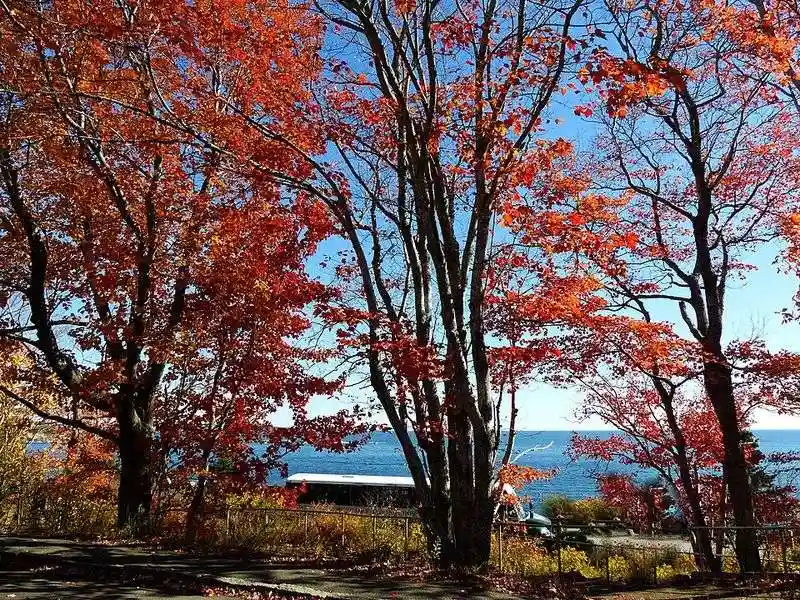 Underestimating Weather Changes