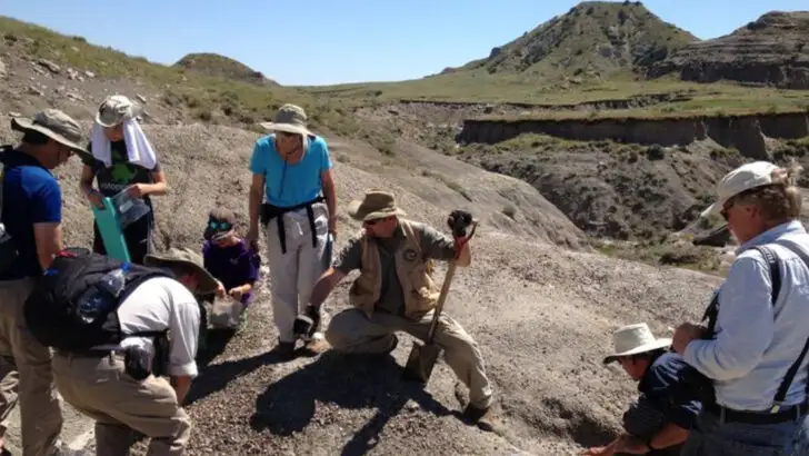In South Dakota’s Grasslands Is a Fossil Town Where You Can Dig for Dinosaur Bones