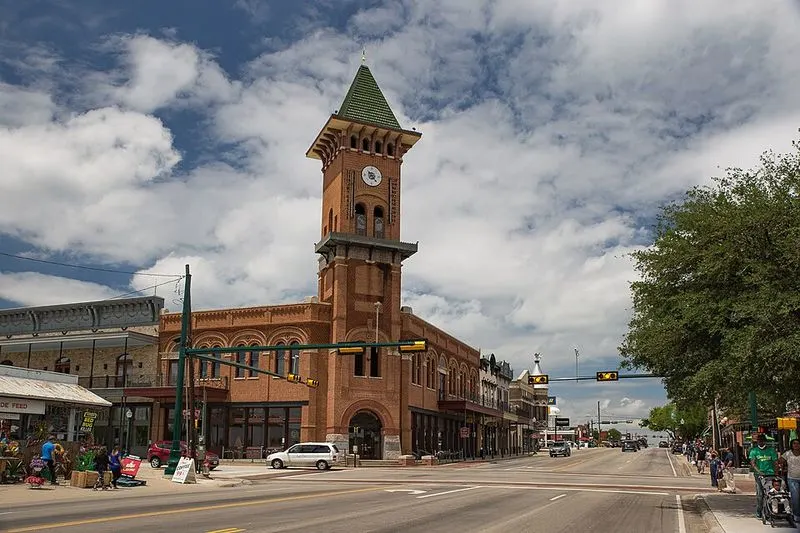 Grapevine