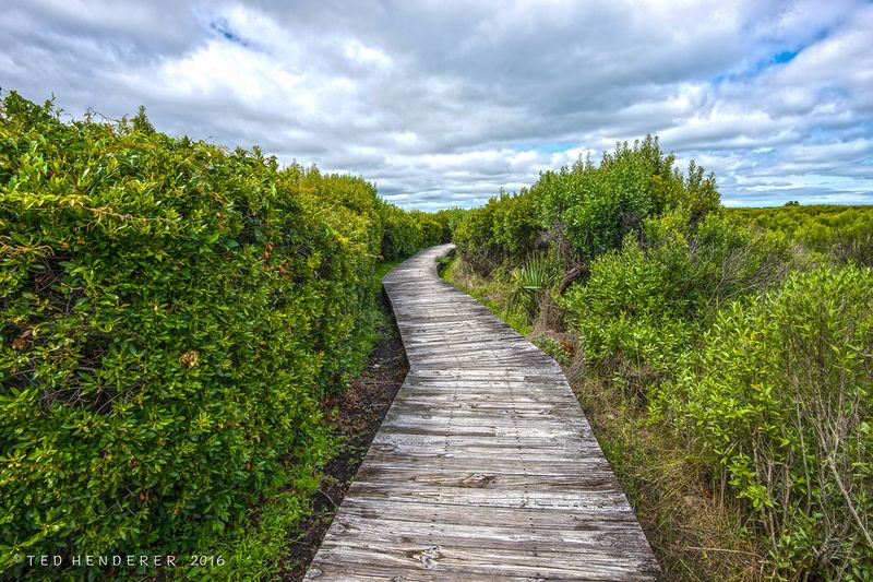 Seabrook Island – Private Paradise with Ecological Charm