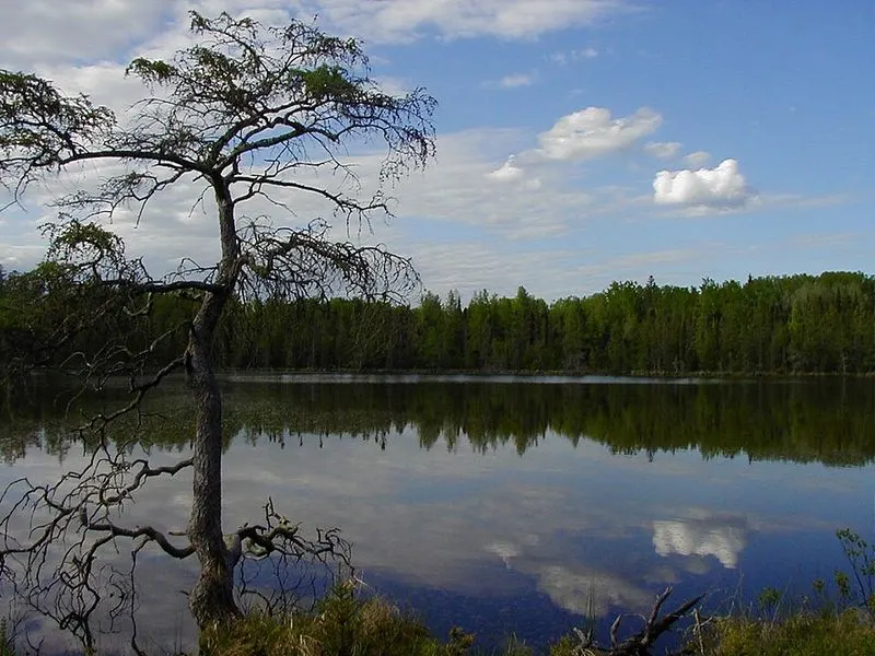 Lake Bemidji State Park