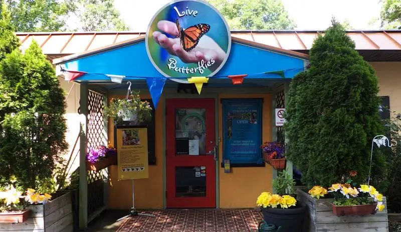 Bear Mountain Butterfly Sanctuary
