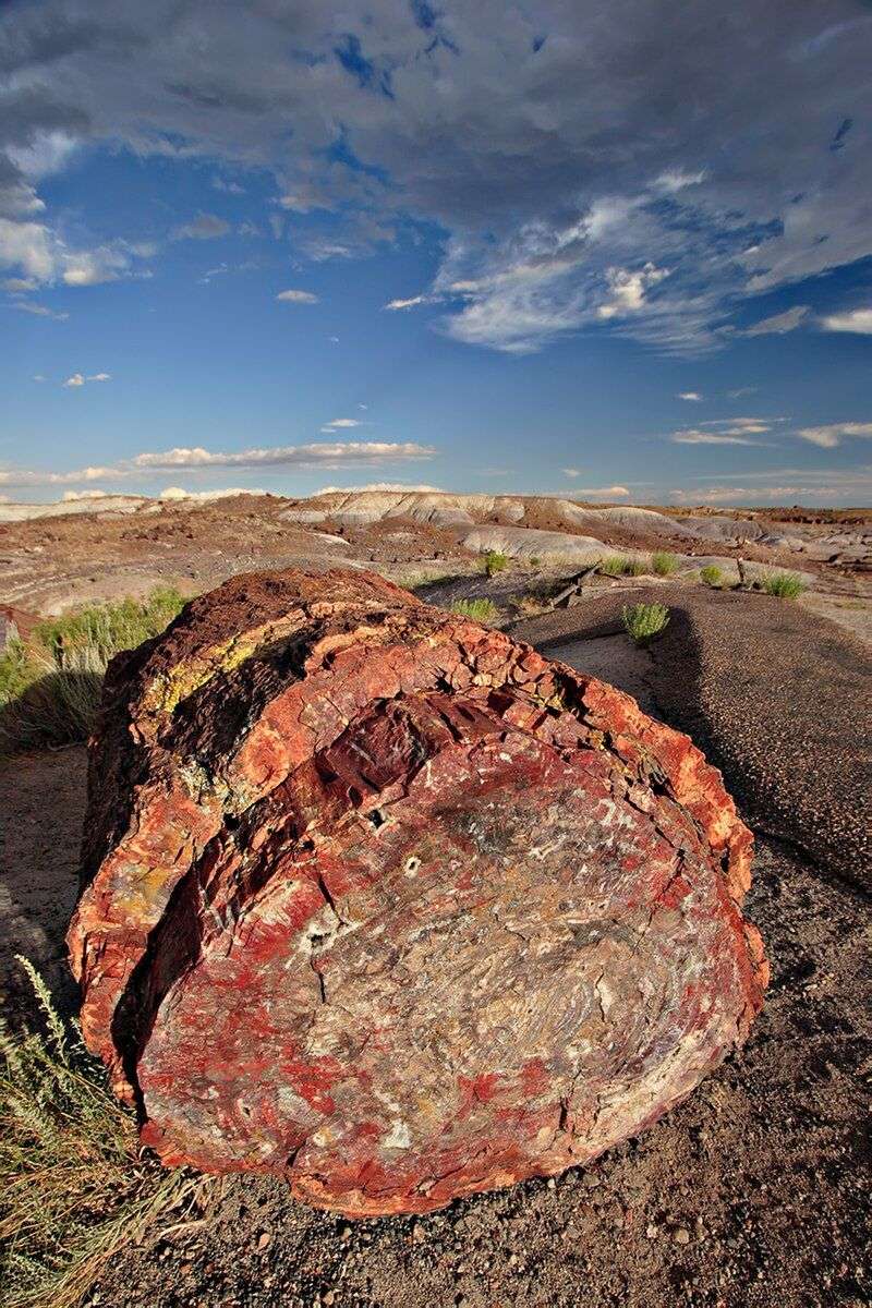 Petrified Forest National Park (Arizona)