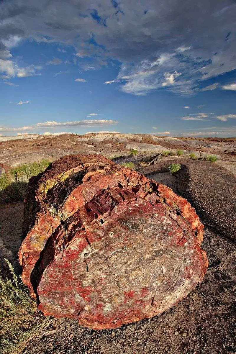 Petrified Forest National Park (Arizona)