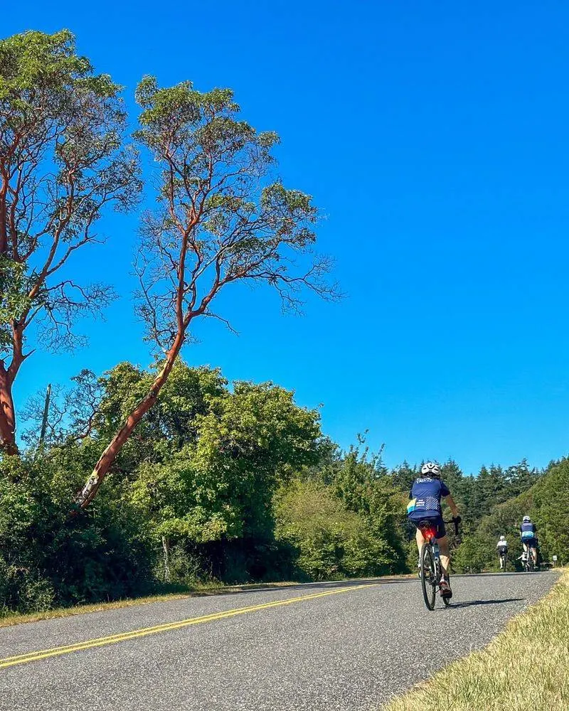Biking the Island Loop