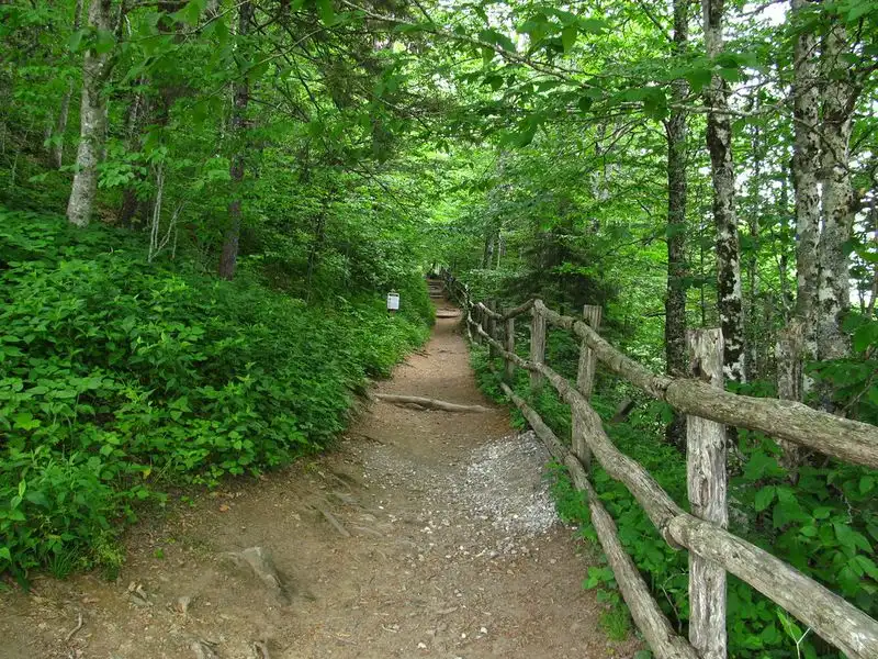 Hiking the Appalachian Trail, Eastern USA