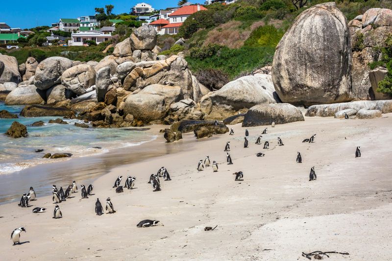 Cape Town, South Africa