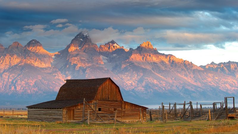 Jackson Hole, Wyoming – Wildlife on the Move