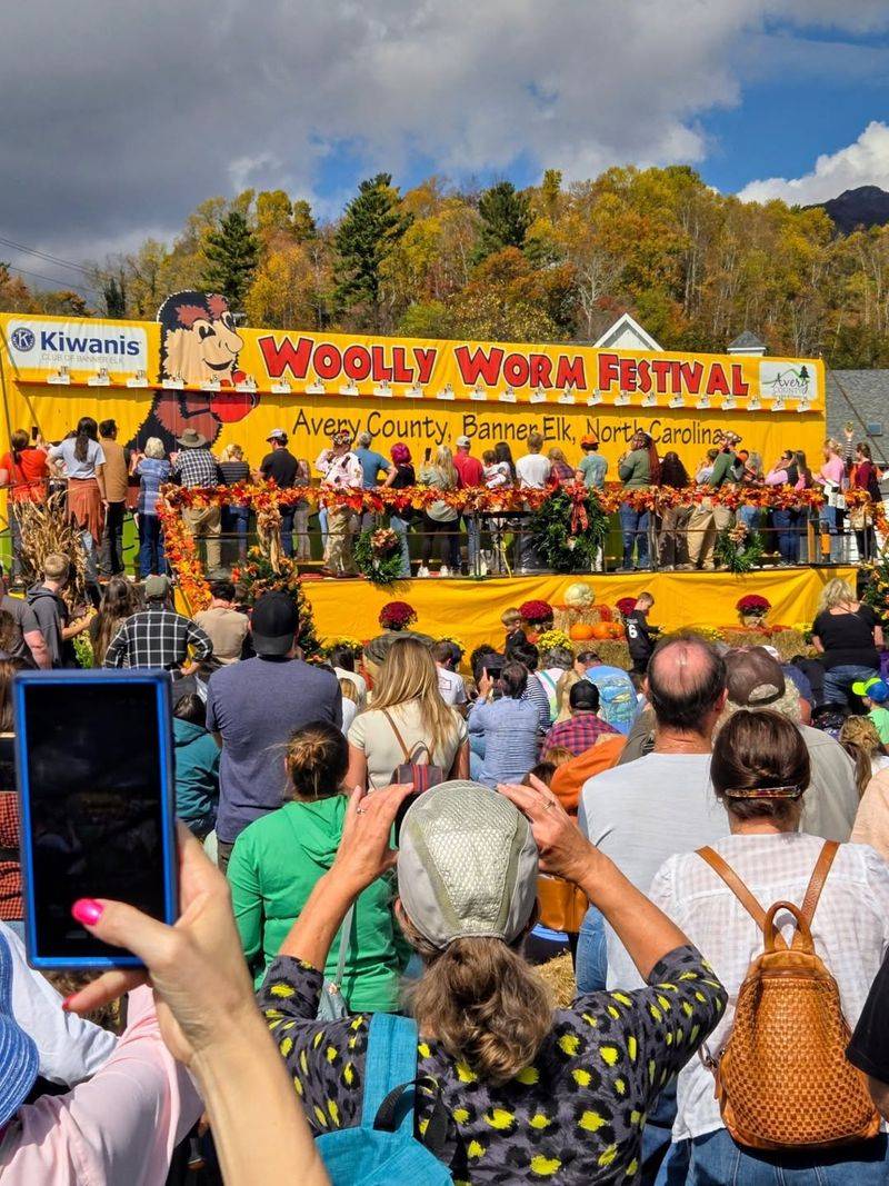Woolly Worm Festival