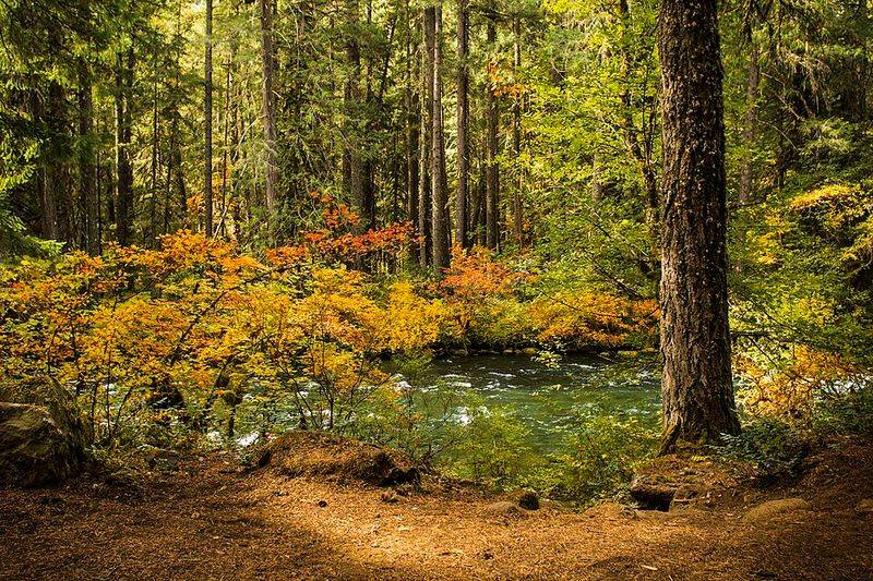 McKenzie River / Oregon Cascades