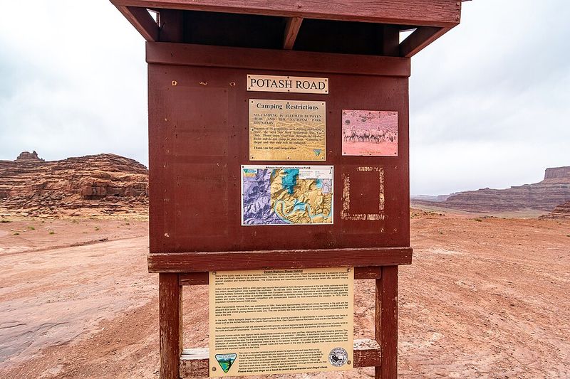 Unauthorized Off-Roading Adventures