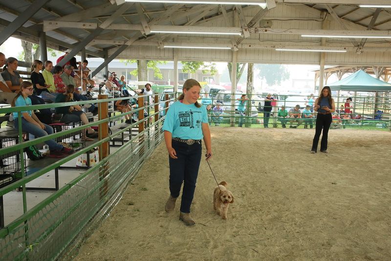 Linn County Fair – Marion, Iowa