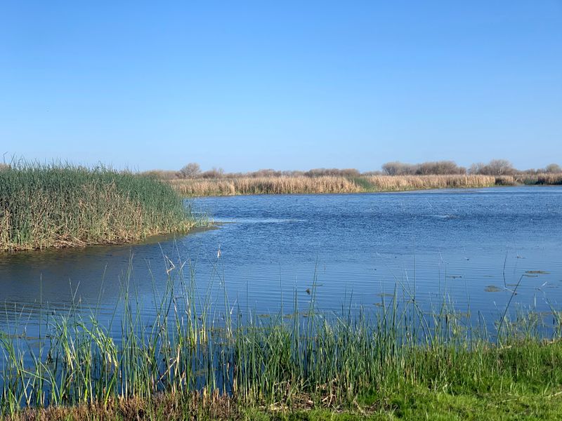 San Luis National Wildlife Refuge