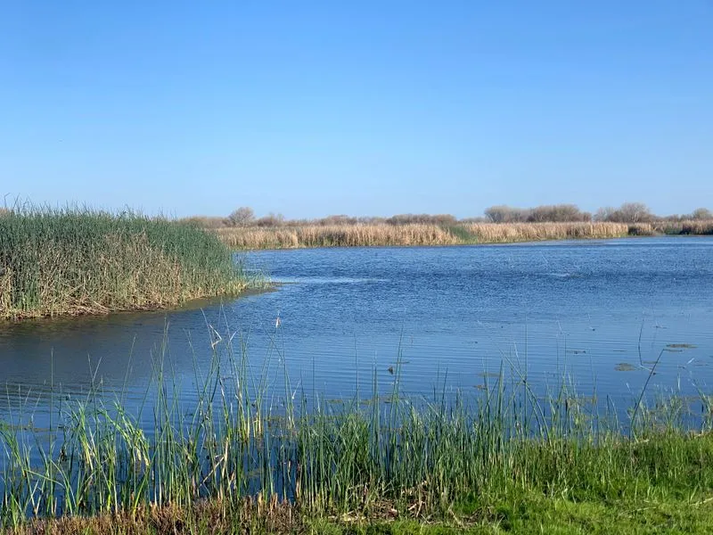 San Luis National Wildlife Refuge