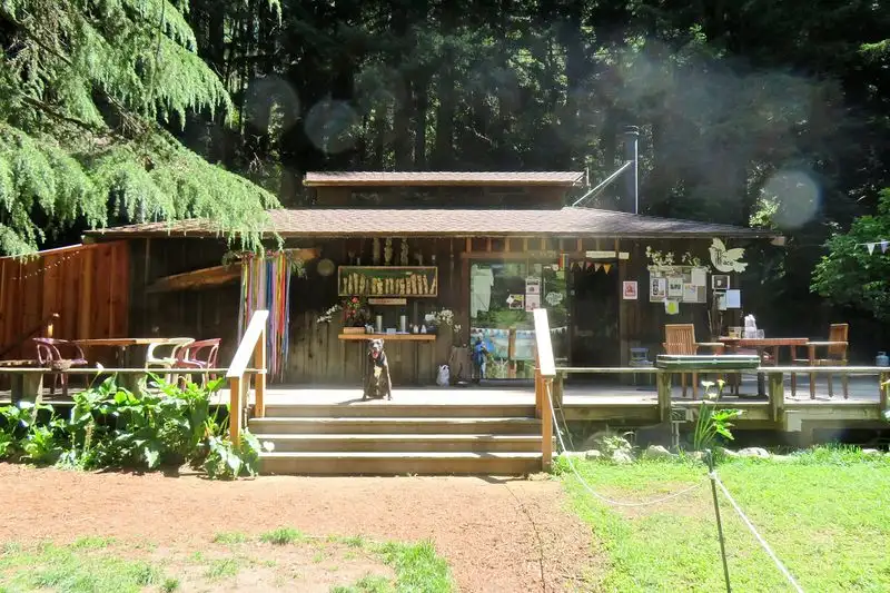 Henry Miller Library