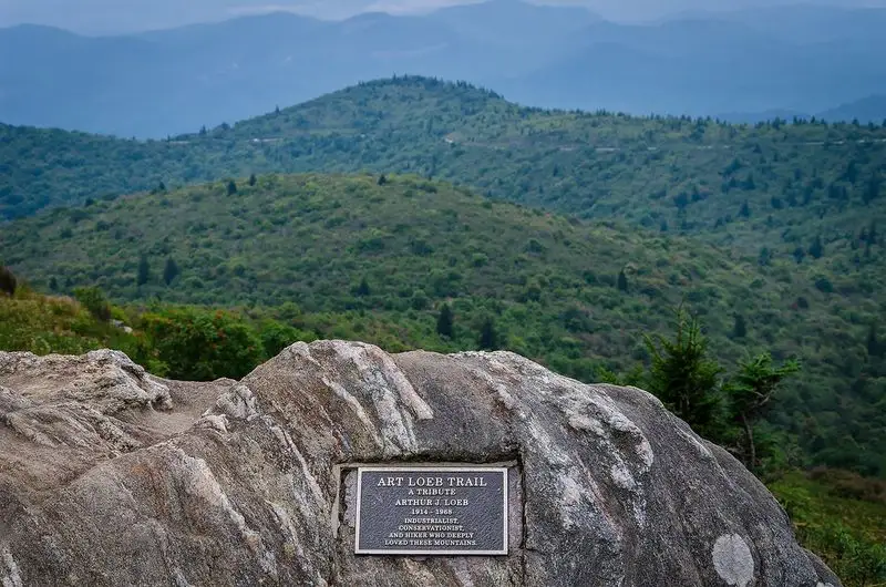 Pisgah National Forest