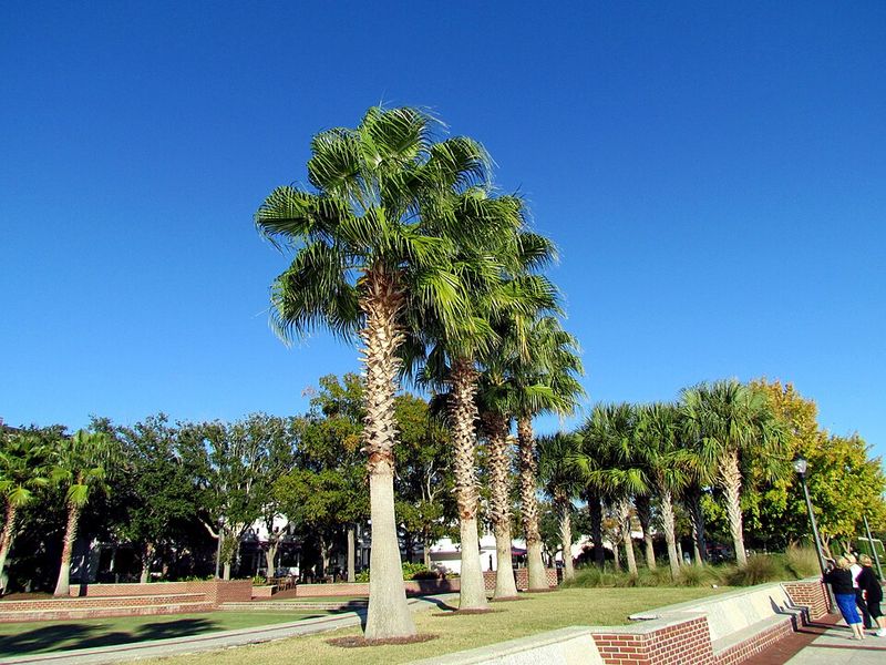 Beaufort Downtown