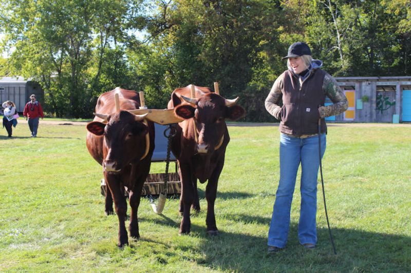 Maine — Common Ground Country Fair (Unity)