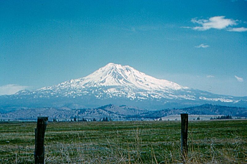 Shasta: Untamed Wilderness