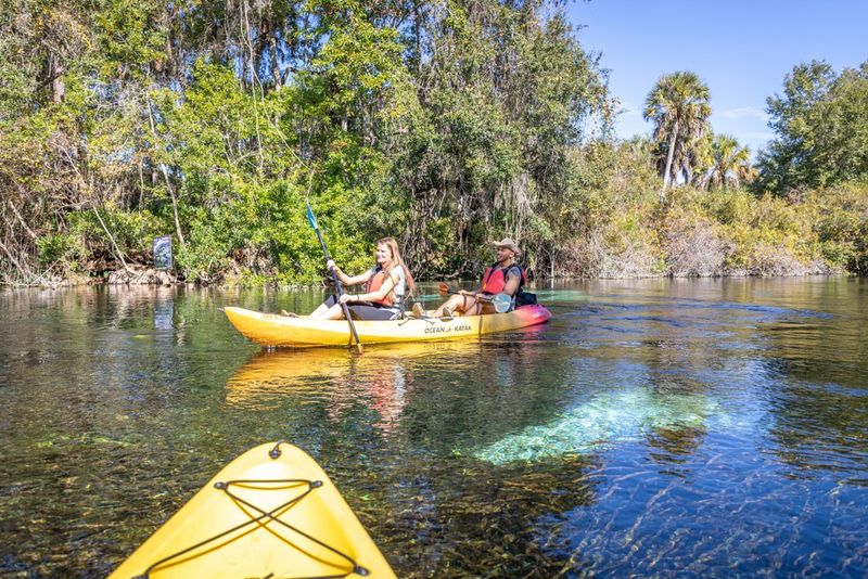 The Thrill of Kayaking