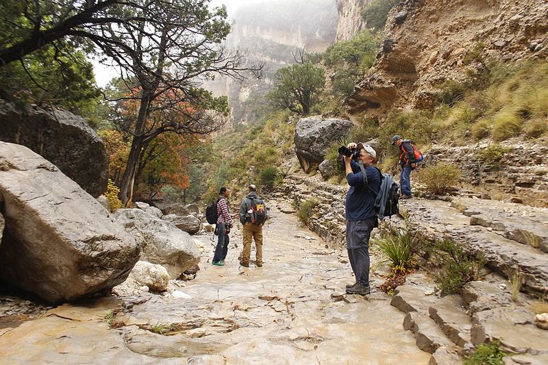 Guadalupe Mountains National Park