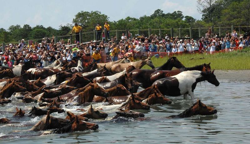 Chincoteague Island, Virginia