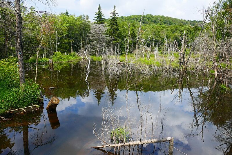 Massachusetts – Mount Greylock