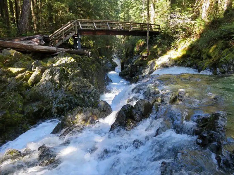Opal Creek Wilderness Trail