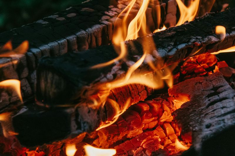 Dry Firewood or Backup Fuel