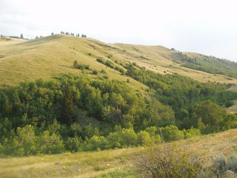 Bighorn Mountains
